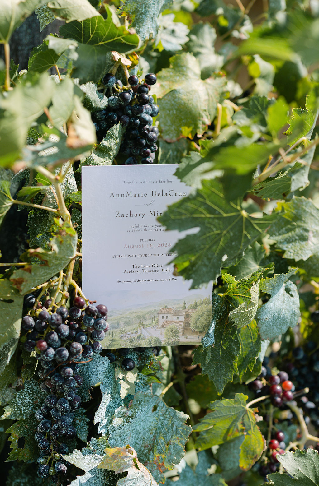 AnnMarie_Zach_Wedding-3